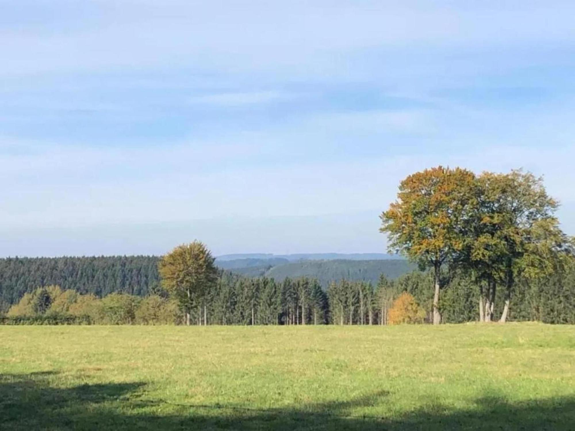 Holiday Home Ardennes Blue In Theux Near Spa La Reid Eksteriør bilde
